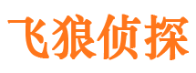 宜阳市婚外情调查